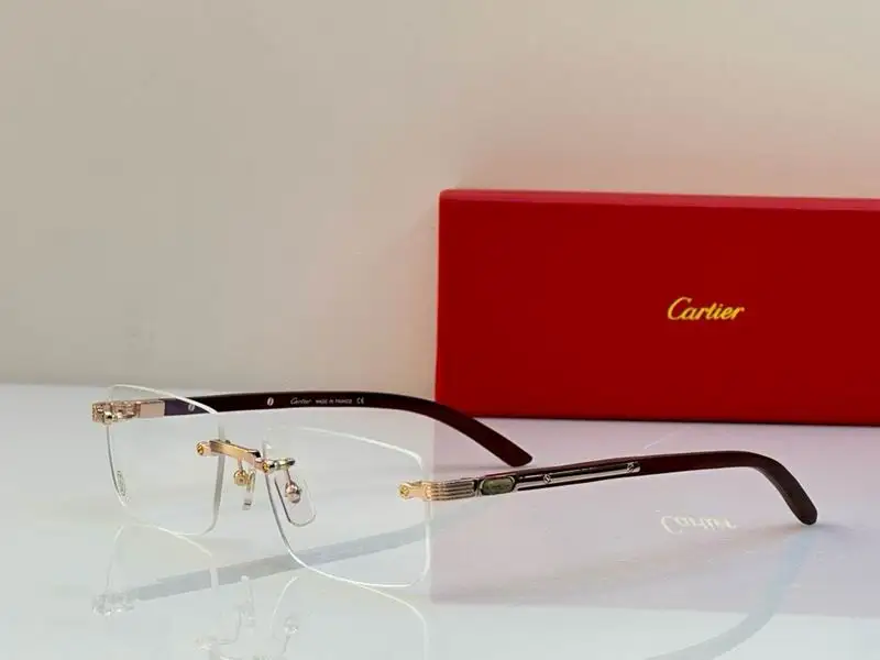 Cartier plain Glasses (152)